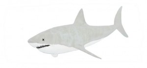 Hirst shark Hirst shark