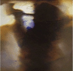 Animal Collective Fall Be Kind EP Animal Collective Fall Be Kind EP