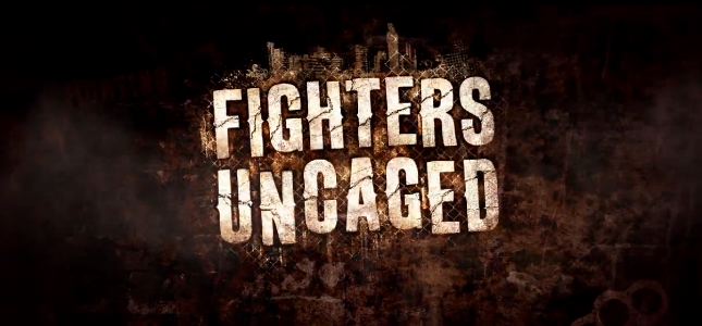 Fighters Uncaged, Xbox 360 Kinect
