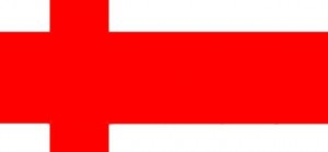 More snow drops More snow drops