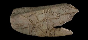 Ice Age Art British Museum Ice Age Art British Museum