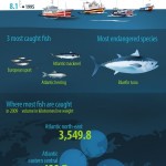 Overfishing infographic