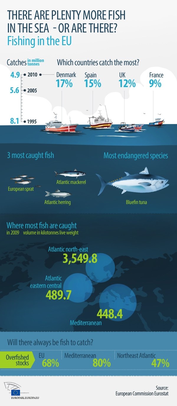 Overfishing infographic