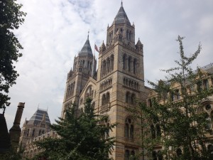 Natural History Museum 2013 Natural History Museum 2013