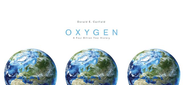 Oxygen by Donald E. Canfield