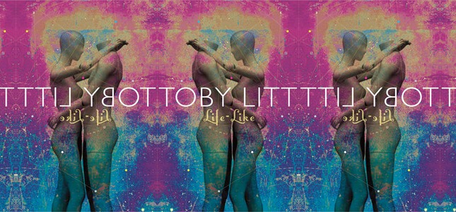 Toby Litt, Life Like