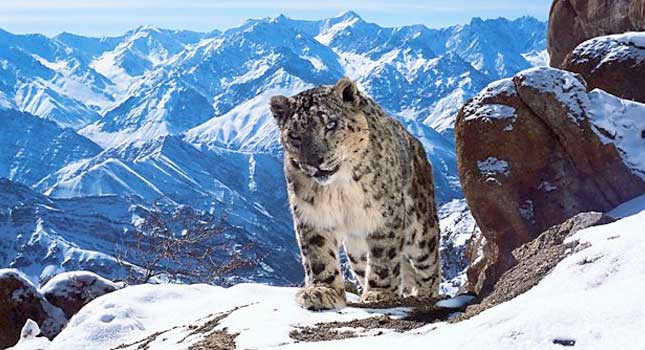 Planet Earth II air date and series details