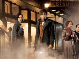 Fantastic Beasts And Where To Find Them DVD