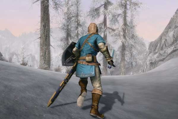 Elder Scrolls V Skyrim Nintendo Switch Link costume