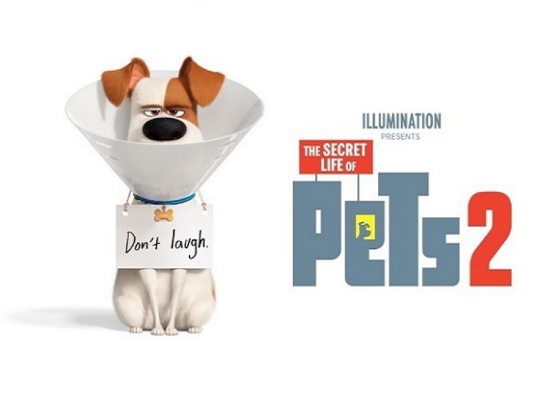 The Secret Life Of Pets 2 DVD release date UK and when is it out on Blu-ray, iTunes and digital rental