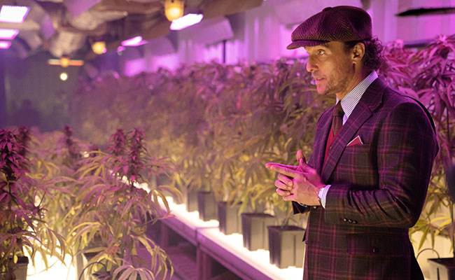 The Gentlemen UK Matthey McConaughey surrounded by marijuana plants
