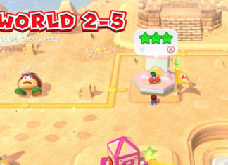Super Mario 3D World + Bowser’s Fury World 2-5 Stars and Stamp