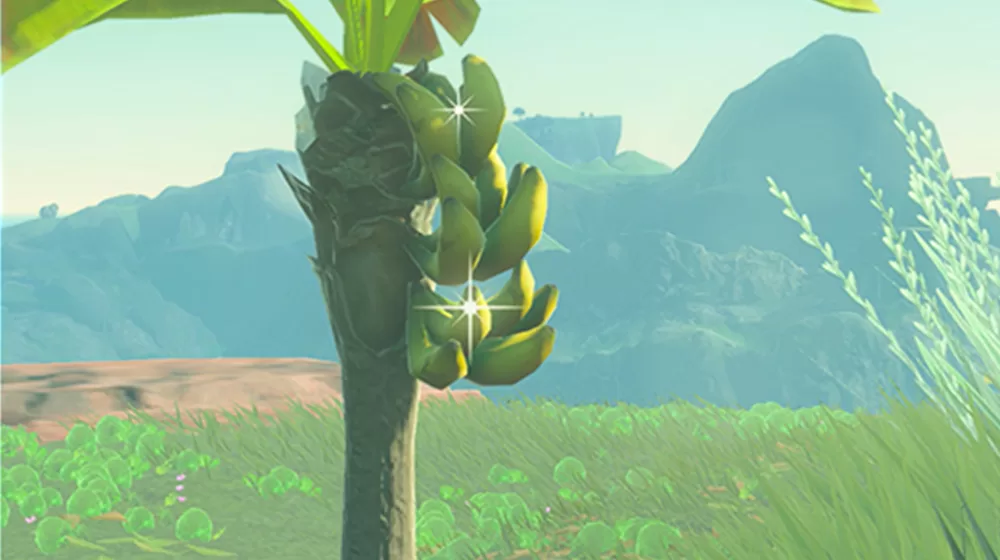 The Legend of Zelda Tears of the Kingdom Mighty Banana farming
