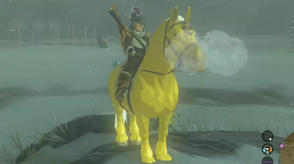 The Legend of Zelda Tears of the Kingdom how to get the Golden Horse
